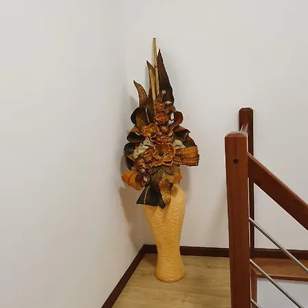 アパート Casa Dos Arcos アヴェイロ